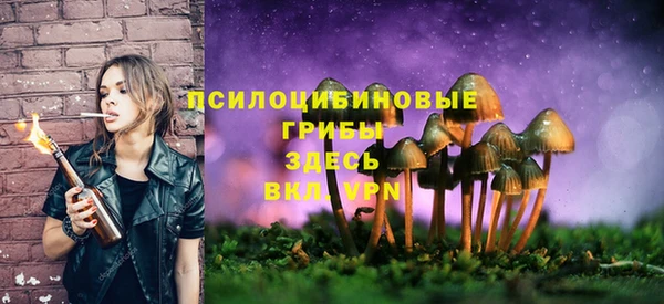 прущая мука Армянск