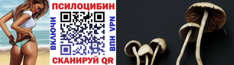 Псилоцибиновые грибы прущие грибы  Куса 